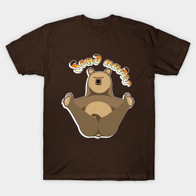 Send Nudes - Naughty Bear T-Shirt by ArtDiggs